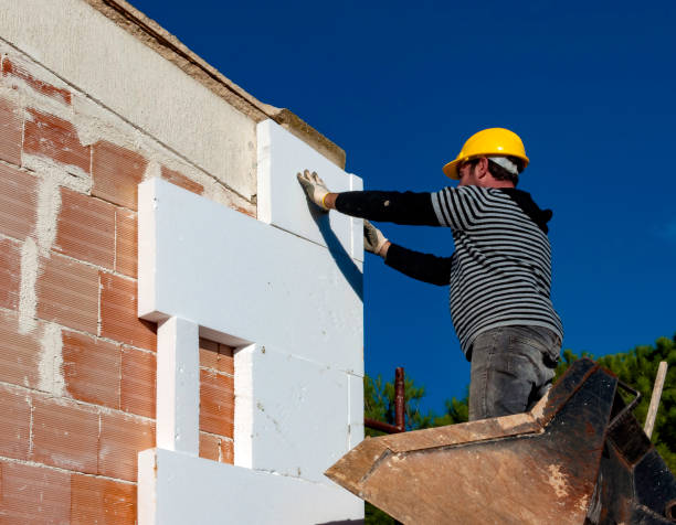 Best Insulation Maintenance and Repair in Wink, TX