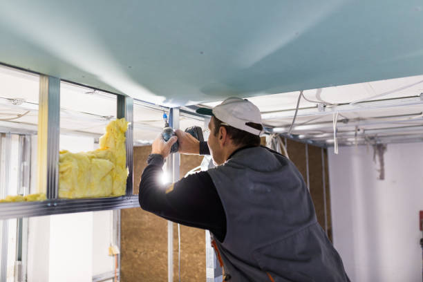 Best Commercial Insulation in Wink, TX